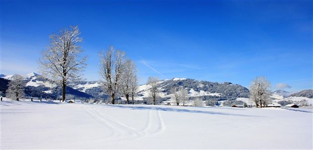 Winterlandschaft allgemein_Kitzbüheler Alpen_Steph