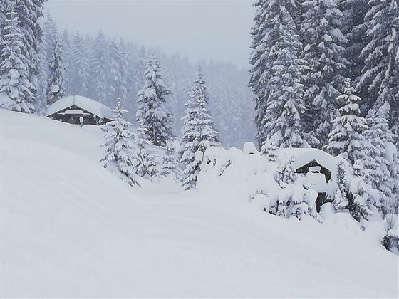 Winterlandschaft an der Tanzernabfahrt v. 04.01.19