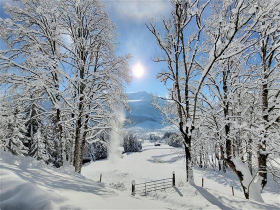 Wintersonne