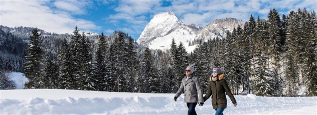 winterspaziergang-kitzbueheler-alpen-wilder-kaiser