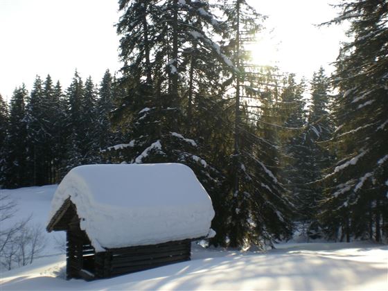 Winterwandern Rauher Kopf