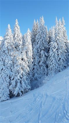 Winterzauber 2