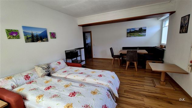 Wohnraum mit Ausziehbett