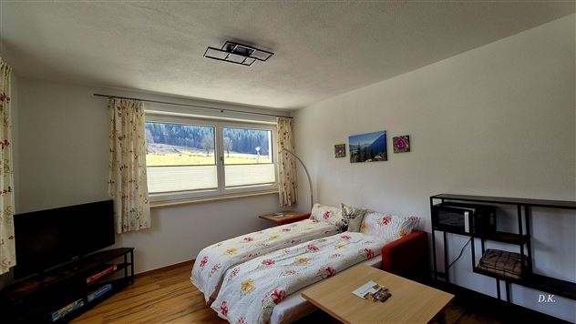 Wohnraum mit Ausziehbett