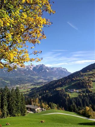 Wunderschöner Herbst