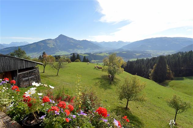 Zimmer-Gauxbauer-Going-Astbergweg-38-Cilli-Brandst
